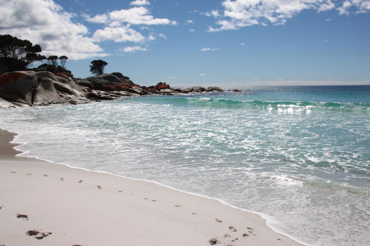 Sea Eagle Cottage Amazing Views Of Bay Of Fires Binalong Bay Extérieur photo